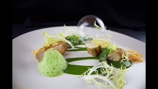 Plating Food 51  Rabbit Parsley Lovage Chorizo Asparagus [upl. by Einafets999]