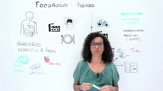 Foodborne viruses [upl. by Rubi]