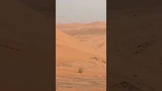 Qasr Al Sarab Desert20240801 [upl. by Nomihs]