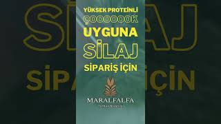 ÇOOOOOOK UYGUNA SİLAJ  Sipariş için 0532 799 0735 [upl. by Brower]