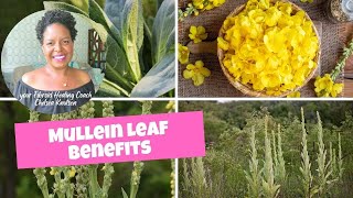 Healing Fibroids Naturally With Mullein Leaf [upl. by Arataj645]