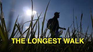 The Longest Walk  Waltham Cross to Welwyn Garden City [upl. by Olegnaed]