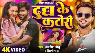 Video  दूध के कटोरी  Ft Somya Pokhrel  ShilpiRaj  Dudh Ke Katori  New Bhojpuri Song 2024 [upl. by Ellenrahs]