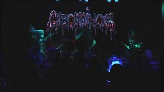 Abominog at Rage of Armageddon Fest filmed by NYC Metal Scene at The Meadows in Brooklyn NY [upl. by Merrili718]