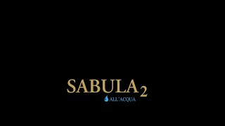 SABULA 2 VALPAINT  Official Video [upl. by Burkitt]