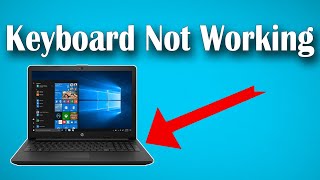 How To Fix HP Laptop Keyboard Not Working in Windows 10 Solved [upl. by Haonam77]