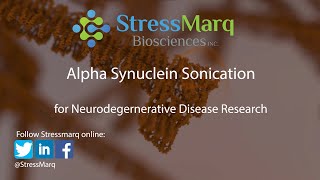 Video Why is Sonication of Alpha Synuclein Preformed Fibrils Important [upl. by Arihaz]