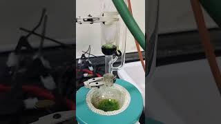 Soxhlet extraction 👩🏻‍🔬science microbiology shorts [upl. by Giah]