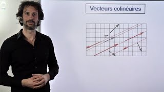 La colinéarité quest ce que cest [upl. by Jenkins]