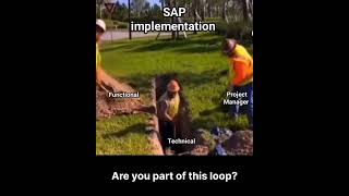 SAP Implementation [upl. by Mitzie]