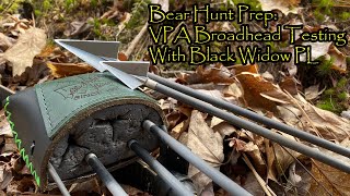 Bear Hunt Prep Broadhead Flight Testing with Longbow [upl. by Lehpar]