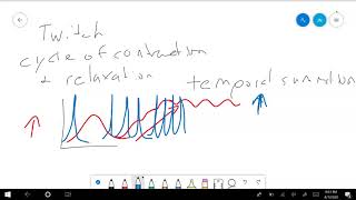 Temporal summation Part 1 [upl. by Nodnarg]