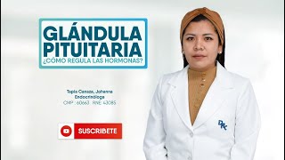 GLÁNDULA PITUITARIA ¿CÓMO REGULA LAS HORMONAS [upl. by Aznola130]