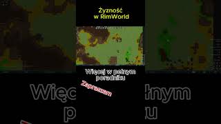 Żyzność w RimWorld rimworld poradnik shots bein [upl. by Enirok568]