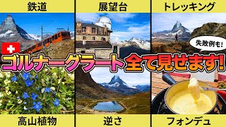 ツェルマット観光で絶対にお勧め！ゴルナーグラートの攻略方法を徹底解説！スイス旅VLOG！ [upl. by Schlicher]