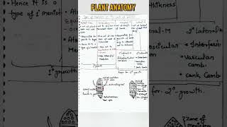 Plant Anatomy  Type of meristem Apical intercalary marginal Lateral Meristemneet shorts tgt [upl. by Fruma]