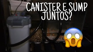 CANISTER E SUMP NO MESMO AQUÁRIO [upl. by Psyche110]