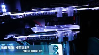 AORUS Parvum Systems Build Watercool Heatkiller lighting test [upl. by Inacana]