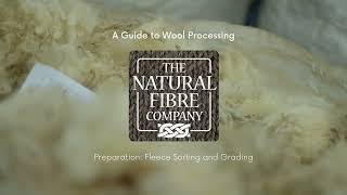 A Guide To Wool Processing Stage One Preparation [upl. by Lertnahs]