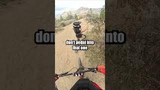 ALWAYS LISTEN TO CANADIAN MTB KIDS mtb littleripper [upl. by Youngran472]