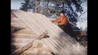 Building an Alaskan log cabin [upl. by Yaniv]