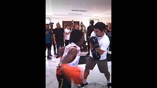 iShowSpeed Fight Manny Pacquiao 😂 [upl. by Duntson]