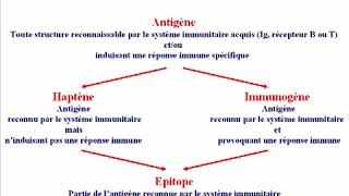 Réaction Antigénes Anticorps I [upl. by Aurelius]