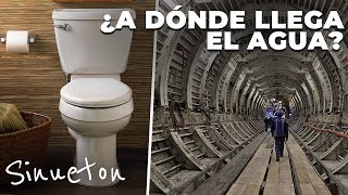 ¿A dónde llega el agua de la taza del baño en la CDMX  Sinueton [upl. by Barron]