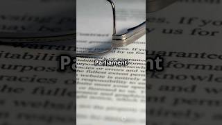 Who Shapes Our Rights Article 35 Explained [upl. by Imefulo]