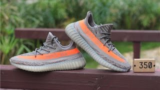 Yeezy Boost 350 V2 quotBelugaquot on Foot Review [upl. by Dever]