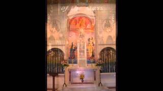 July Novena  The Discalced Carmelite Nuns Of Philadelphia [upl. by Gault]