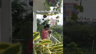 MiniVlog 74  Slow And Peaceful Morning In Amma Veedu sowbaraniyaramesh minivlog [upl. by Adnov]