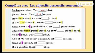 Les adjectifs possessifs 2 [upl. by Vernen724]