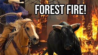 Saving Cattle From a FOREST FIRE [upl. by Barthold740]