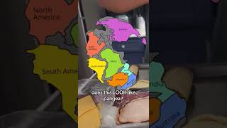 Pangea or South America comedyshorts cooking worstcooks [upl. by Nonnairb]