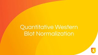 PreImmunodetection Membrane Staining  Normalization Strategies [upl. by Ardnaiek]