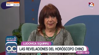 Algo Contigo  Ludovica Squirru y el Horóscopo Chino 2025 [upl. by Rihana]