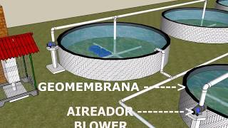 UNIDAD INTENSIVA PARA PISCICULTURA CON ESTANQUES DE GEOMEMBRANA DE 800 MICRAS [upl. by Kiel387]