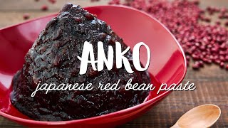 QUICK Japanese Red Bean Paste Recipe あんこ  Anko [upl. by Inajar]