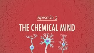 The Chemical Mind Crash Course Psychology 3 [upl. by Georgie918]