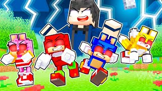 MINECRAFT MAS SOU O DEUS DO SONIC E SEUS AMIGOS [upl. by Lynden347]