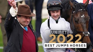 TOP 10 JUMPS HORSES OF 2022 [upl. by Cornelie653]