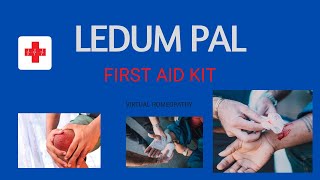 WHY DO YOU NEED HOMOEOPATHIC MEDICINE LEDUM PAL IN YOUR FIRST AID KIT [upl. by Ahsitruc]