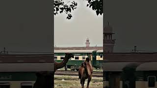 Lahore train iN Karachi going long train very fastlahorekarachitrain [upl. by Norihs335]