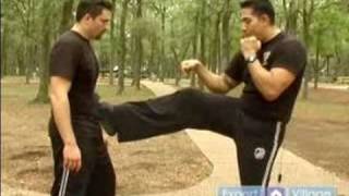 Krav Maga Self Defense Techniques  Vertical Front Kicks in Krav Maga [upl. by Nileek]