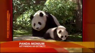 Should We Let Pandas Go Extinct [upl. by Caresse459]