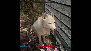 Val amp Meeko  shorts valserano skyrim skyrimse gameplay skyrimods dog meeko gaming [upl. by Konstanze]