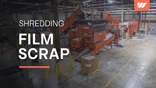 Film Shredding with WEIMA WLK 25 SJ amp WLK 18 J Shredder [upl. by Morton]