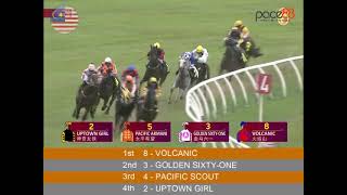 20241110 Race 2 Malaysia Selangor Horse Racing Highlights  Pace88 Horse [upl. by Aehsa]