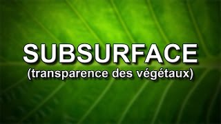 UE4 TUTO FR Matériel  Les Végétaux SubSurface [upl. by Leonora]